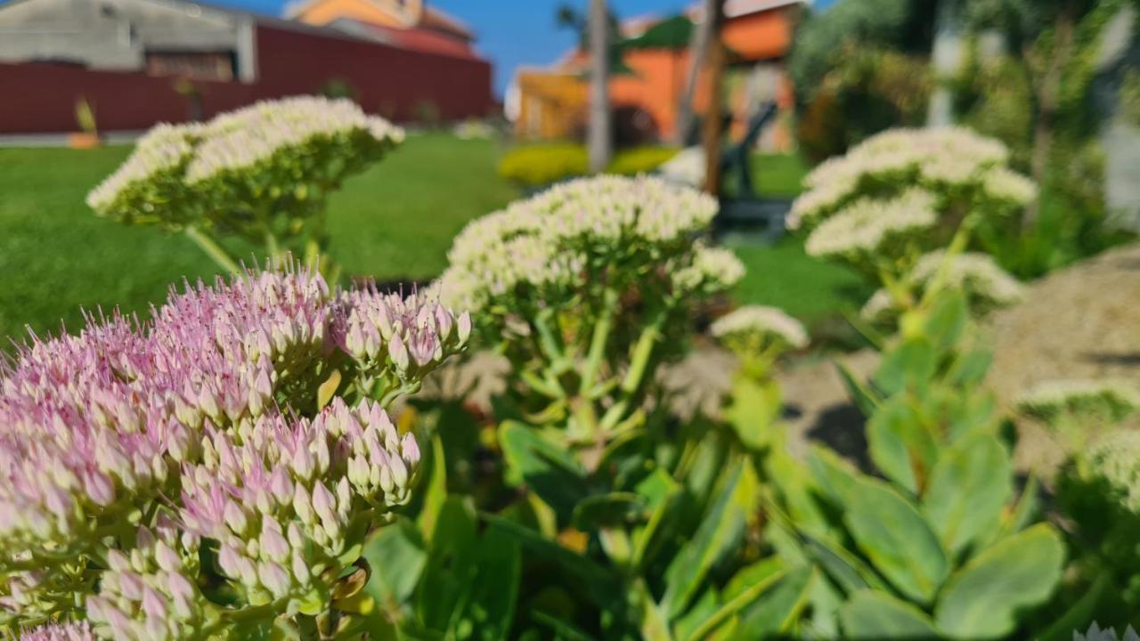 Hollidays Dreams Villa Póvoa de Varzim Exterior foto